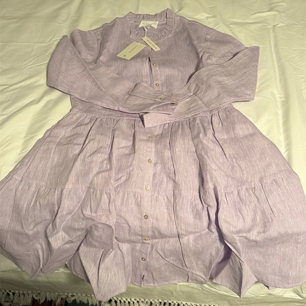 NWT - Alice Walk - The Linen Ruffle Dress - S - Picture 3 of 5